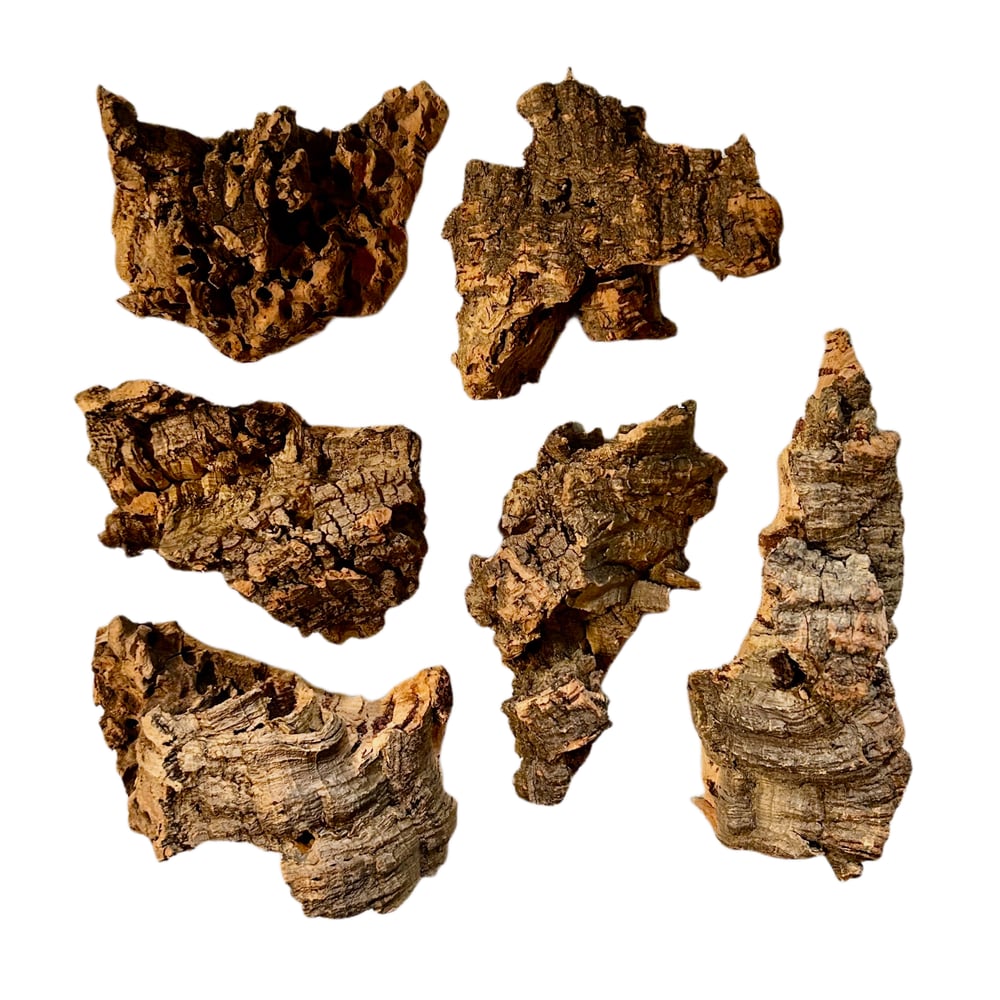FHOS - Cork Bark Decor