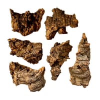 Image 1 of FHOS - Cork Bark Decor