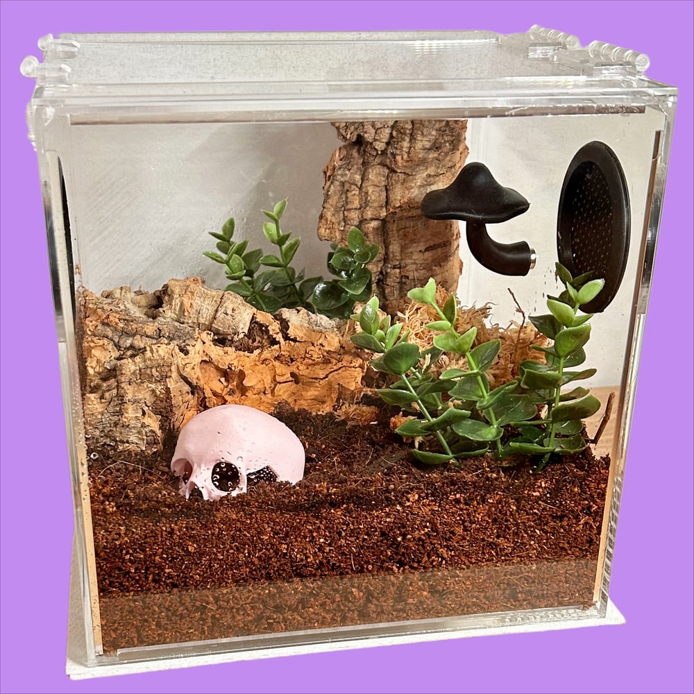 FHOS - Cork Bark Decor