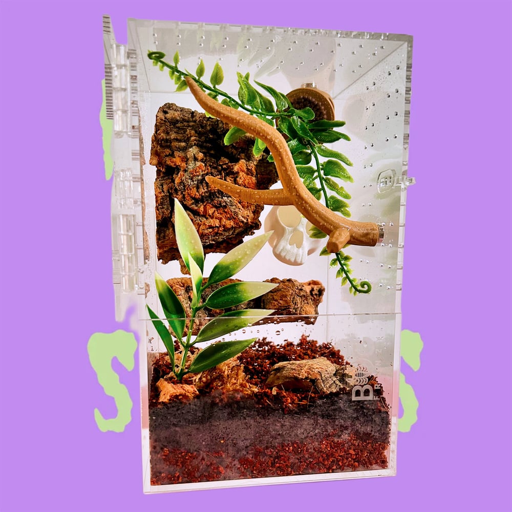 FHOS - Cork Bark Decor
