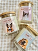 PET CANDLES 