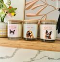 PET CANDLES 