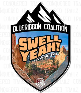 Image of  Limited Edition BRC "Swell Yeah" Support Badge