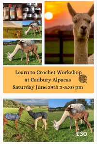 Image 1 of Learn to crochet at Cadbury Alpacas in Tickenham Saturday June 29th 3-5.30pm