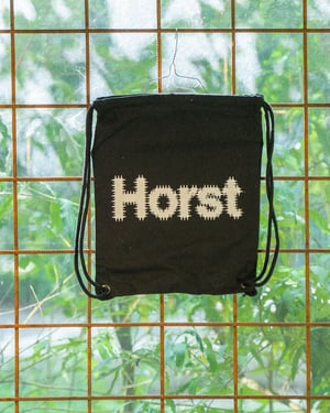 Image of Horst Gymbag