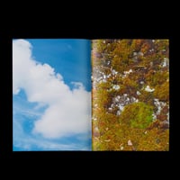 Image 2 of Sullo stato di abbandono, sull'abbandono dello stato 