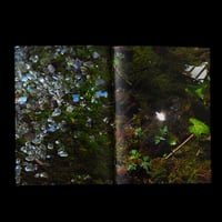 Image 4 of Sullo stato di abbandono, sull'abbandono dello stato 