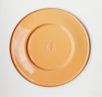 Image 1 of Salmon side plate