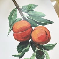 Image 2 of peach branch A5