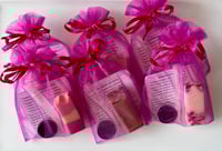Personal Gift ~ Pioneer/Elder School Baggies ~ Baby Shower ~ Bridal Shower