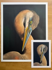 Image 2 of Great Blue Heron 11x14" Print