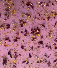 Image 2 of Cocoa Fleur Wax Brittle