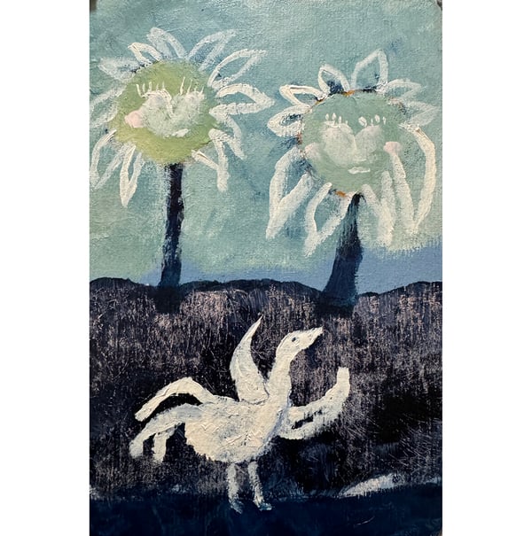 Image of Healing CArdboard: Daisies greeting The Goose