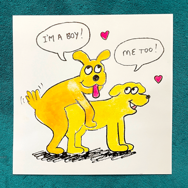 Image of Adam and Steve