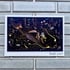 The City of Belgium by Brecht Evens - SIGNED BOOKPLATE Image 2