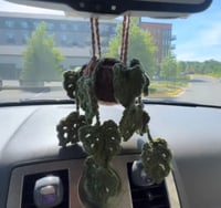 Crochet Hanging Plants 