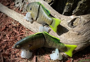 Image of 6” Ann Xslowsink (The Natural Tracker)
