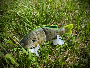 Image of 6” Ann Xslowsink (The Natural Tracker)