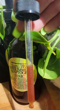 Image 2 of Super Immune Adaptogen Tonic 