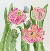 Image 2 of Apricot Parrot Tulips- original artwork