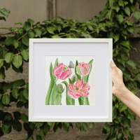Image 1 of Apricot Parrot Tulips- original artwork