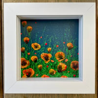 Image 3 of 'Orange Poppies' 