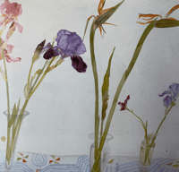 Image 2 of Favourite Flowers by Elizabeth Blackadder