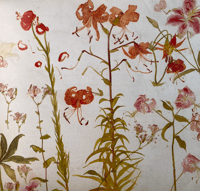 Image 4 of Favourite Flowers by Elizabeth Blackadder