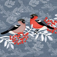 Image 3 of HAND DRAWN BULLFINCH SIGNED ART PRINT