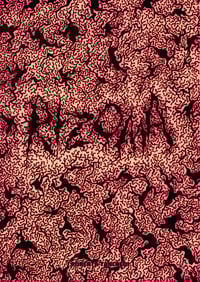 Rizoma - Roberta Tancredi