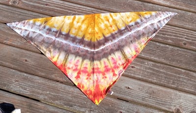 Image of Monarch Bandana