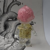 Image 4 of Kilos Kewties Ribcage and Brain Anatomy Double Cast Resin Figure