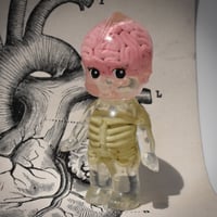 Image 1 of Kilos Kewties Ribcage and Brain Anatomy Double Cast Resin Figure