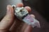 pink tourmaline and fox tooth chunky steel amulet  Image 4