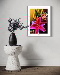 Image 4 of A SERIOUS  STARGAZER (24X18)