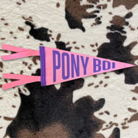 Pony Boi Mini Pennant