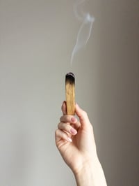Image 1 of Palo Santo