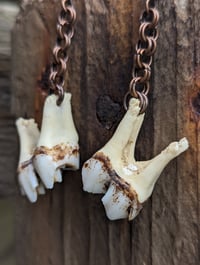 Image 2 of IMPETUS - Deer Tooth Earrings