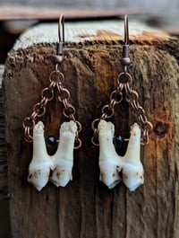 Image 1 of EFFETE - Deer Tooth Earrings