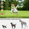 MSL Automatic Dog Ball Launcher – Interactive Tennis Ball Thrower for Pets