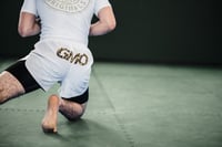 Image 2 of 3D Bud Fightshorts - White