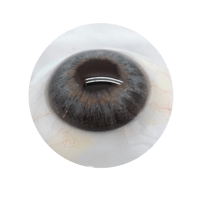 Image 3 of Genetic Green Contact Lens