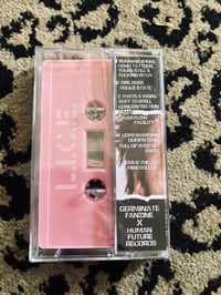 Image 2 of L.I.C.E. - Die Cry Hate