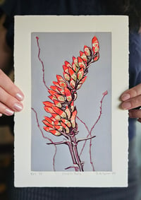 Image 4 of Ocotillo, Variant 1