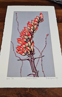 Image 2 of Ocotillo, Variant 1