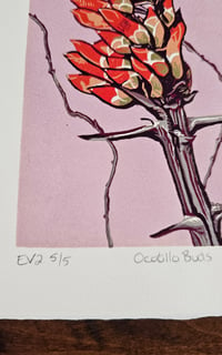 Image 3 of Ocotillo, Variant 2