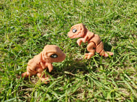 Image 1 of Mini T-Rex
