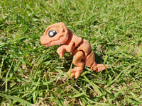 Image 2 of Mini T-Rex