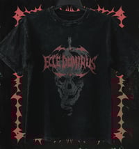 Image 2 of ecce dominus