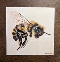 Image 2 of Bee Sticker